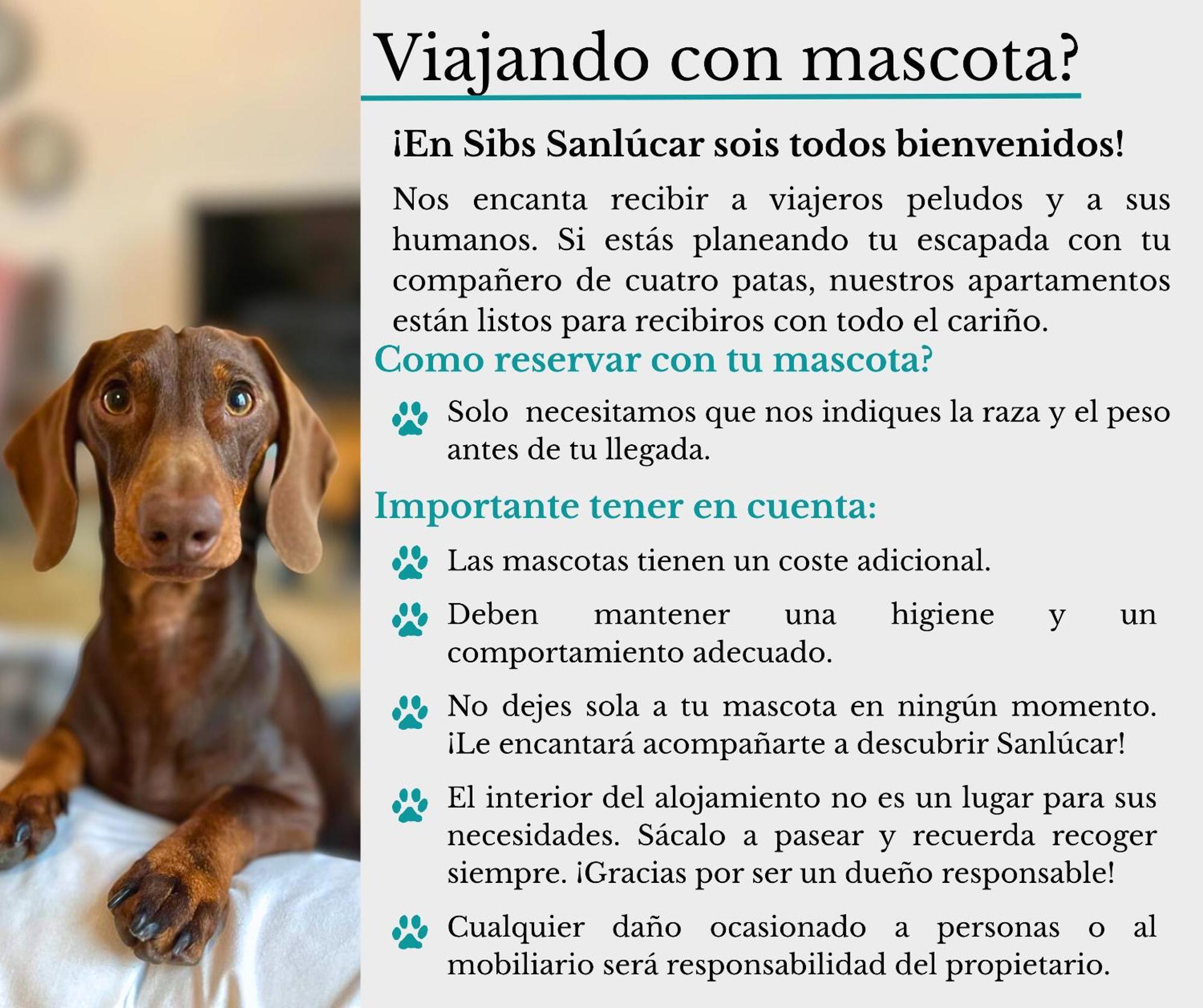 Apartament Sibssanlucar Maritimo-1ª Linea De Playa *